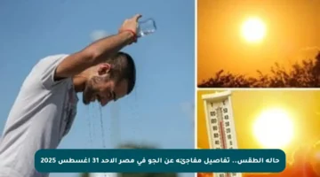 حالة الطقس.. تفاصيل مفاجئة عن الجو في مصر الأحد 31 أغسطس 2025